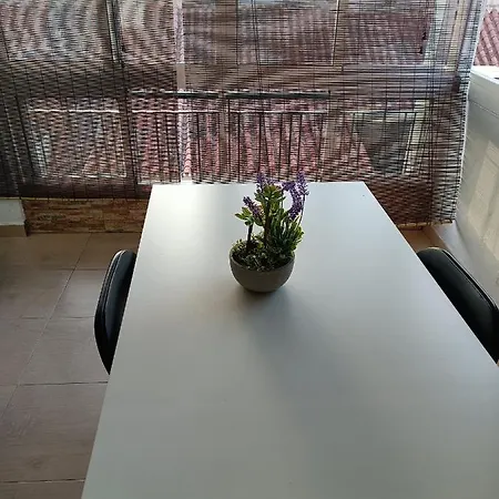 Coqueto Apartamento En Playa-centro De 公寓